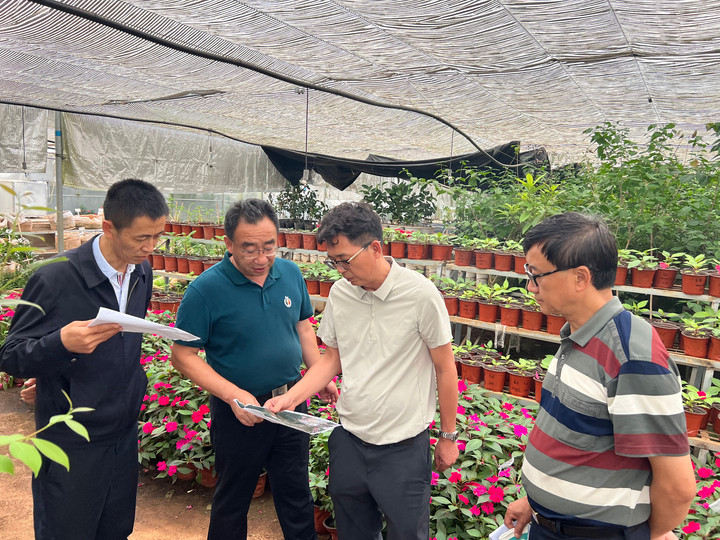 学校深入推进树木园建设